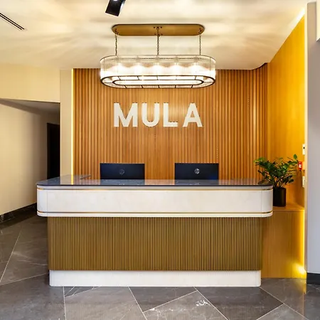 Hotel Motto By Mula